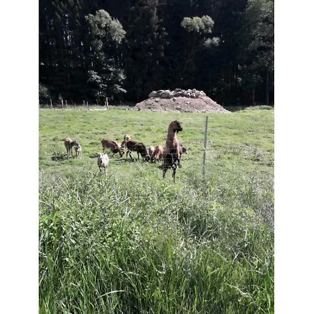 Gerda's Ferienhaeuser Nyaraló Eppenschlag
