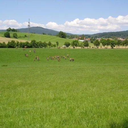 Gerda's Ferienhaeuser Holiday home Eppenschlag