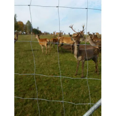 Gerda's Ferienhaeuser * Eppenschlag