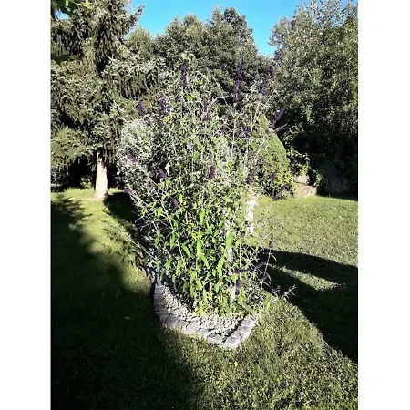 Gerda's Ferienhaeuser Eppenschlag