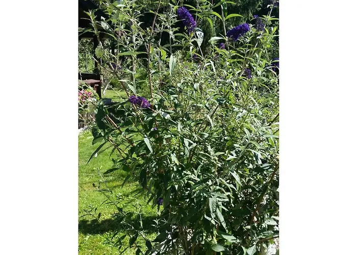 Gerda's Ferienhaeuser Сasa de vacaciones *