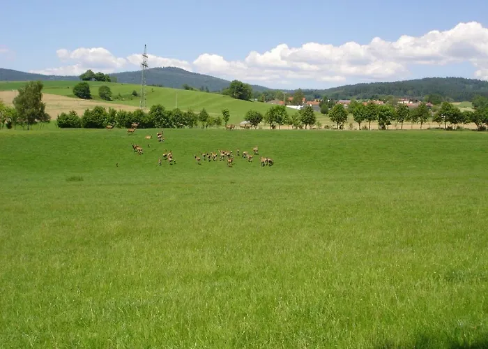 Gerda's Ferienhaeuser Сasa de vacaciones Eppenschlag