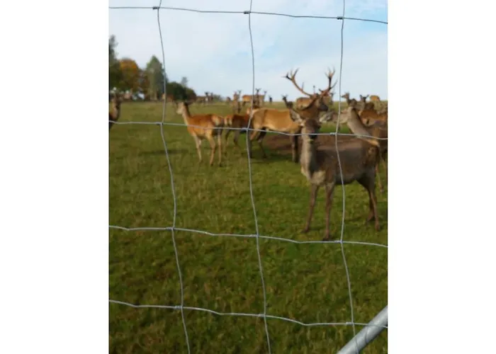 Gerda's Ferienhaeuser * Eppenschlag
