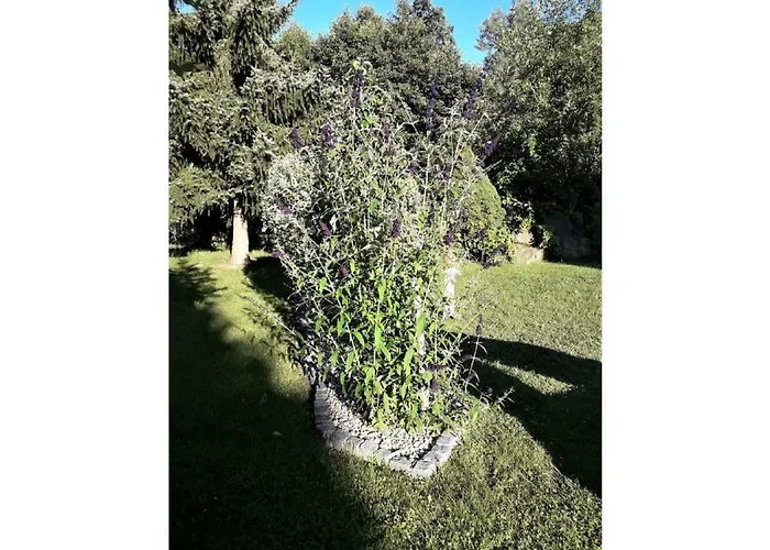 Gerda's Ferienhaeuser Eppenschlag